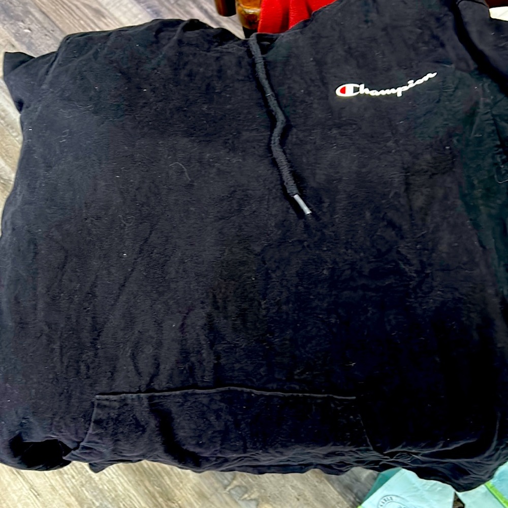 Champion pull over